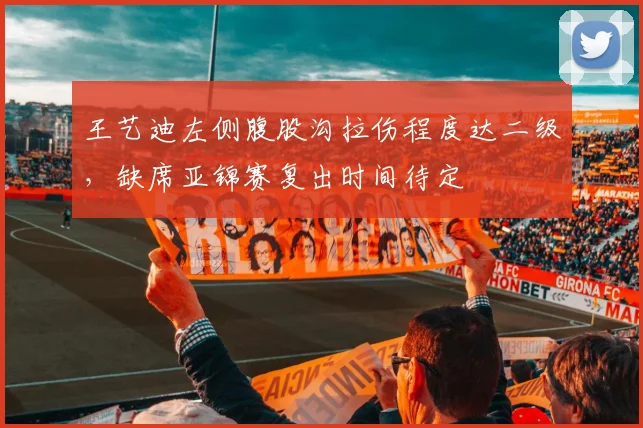 王艺迪左侧腹股沟拉伤程度达二级,缺席亚锦赛复出时间待定